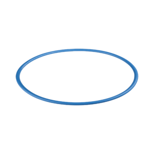 O-Ring For ZEE PRO Filter Housing - RKIN